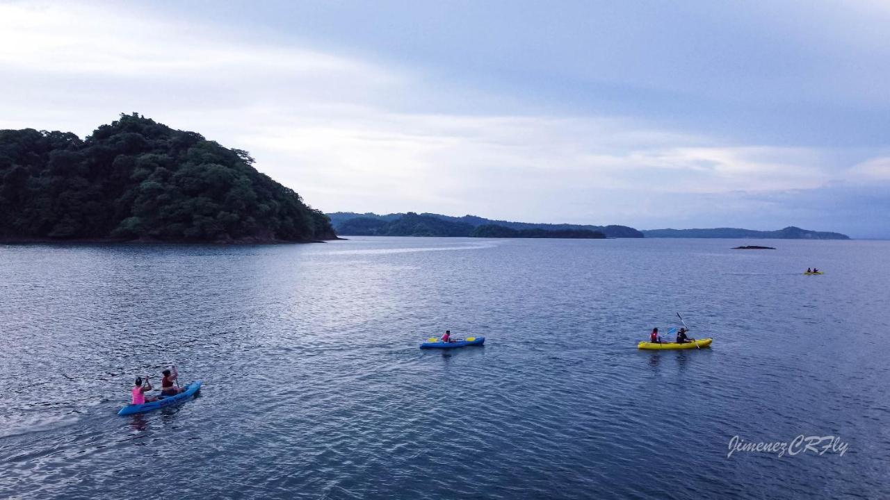 Bioluminiscencia Hostel Tours - South Paquera Bagian luar foto